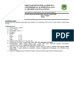 Format Soal PTS SMA N 2 Kotaagung TP 2019 2020 Sem Genap