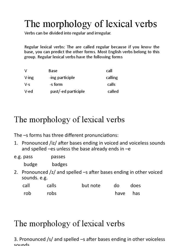 Morphology of Lexical Verbs Explained | PDF | Verb | Grammatical Tense