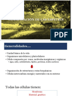Clasificación de Las Especies PDF