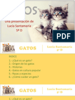 Presentacingatos 140423171340 Phpapp02