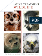 Alternative Treatment For Wildlife PDF