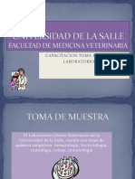 Presentacion Toma de Muestra