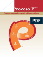 P-Process-Brochure_Spanish.pdf