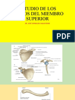 Generalidades de los huesos del MS. (1).pptx