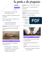 Doenças Do Penis e Prepúcio