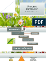 Proceso Enfermero PDF