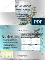 Ácidos Nucleicos Expo