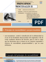 PRINCIPIOS PROCESALES II.pptx
