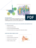 Peligros Físicos Daños Del Ruido Sobre El Oído