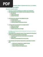 Las Adaptaciones Examen