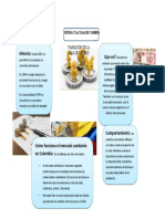 TRM y tasa de cambio: definición, comportamiento e historia