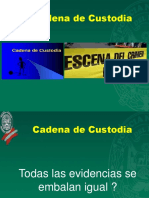 Cadena de Custodia PNP PDF