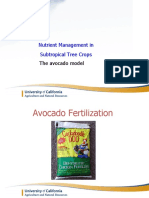 Avocado Nutrient 30 Slides
