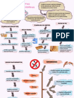 Anticonseptivos Hormonales y Químicos