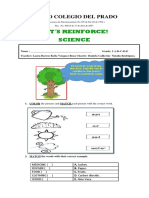 TALLER SCIENCE.pdf