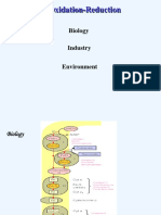 Redox PDF