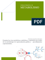 3.Metabolismo.ppt