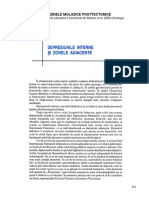 Geologia Romaniei - Depresiunile Molasice PDF