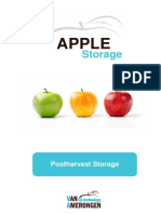 Apple_EN Van Amerongen.pdf