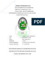 LP Dan LK Praktek Klinik Gerontik 2020 PDF