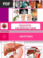 Síndrome Coledociano: Diagnóstico y Tratamiento | PDF | Cáncer ...