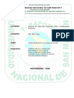 Informe Analisis Multicriterio Provincia Moyobamba PDF