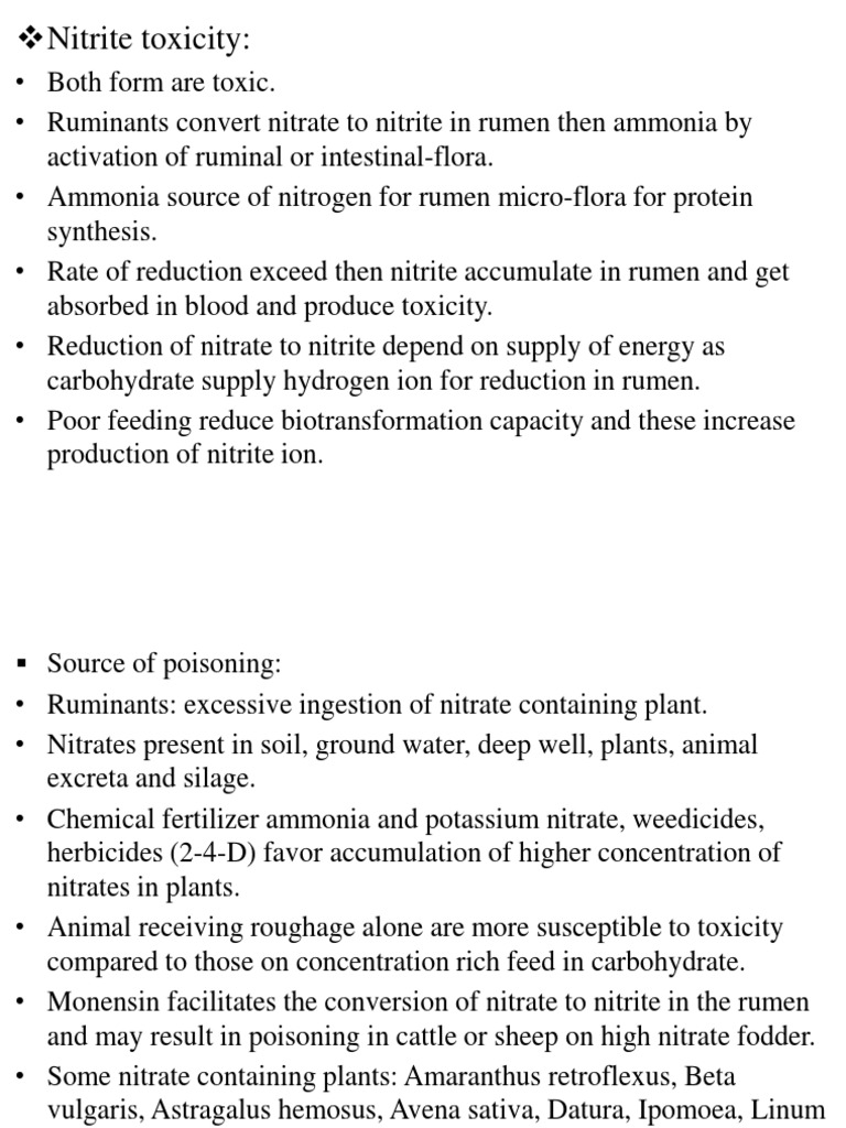 Ruminant Nitrite Poisoning Guide | PDF | Nitrate | Nitrite