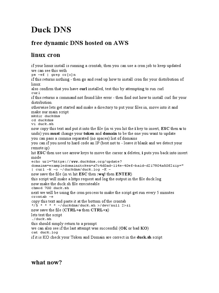 Duck DNS: Free Dynamic DNS Hosted On AWS Linux Cron | PDF | Computers