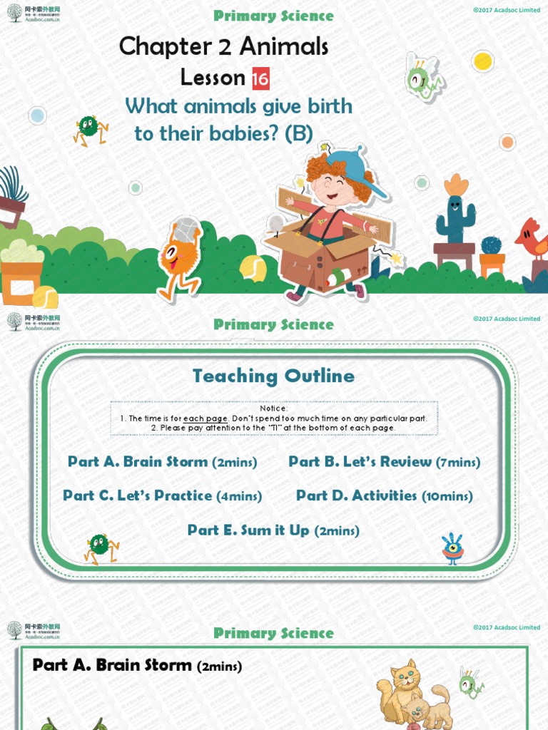 Chapter 2 Animals: Lesson | PDF