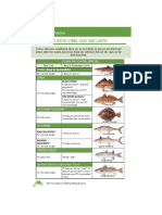 Saltwater State Creel and Size Limits