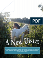 A New Ulster Issue 93 July 2020