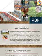 Marketing Agropecuario.pptx