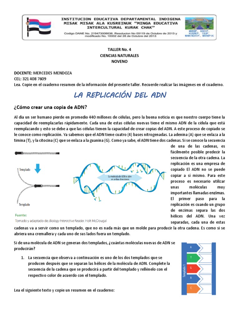 TALLER No 4 CN 9 PDF | PDF | Replicación De Adn | Adn