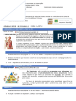 Organização do corpo humano e alimentação saudável