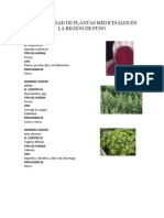 Biodiversidad de Plantas Medicinales en La Región de Puno