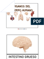 Libro Cuerpo Humano PDF