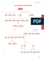 Mapa Conceitos PDF