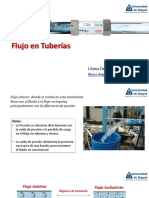 6.2 Flujo en Tuberias - Flujo Turbulento