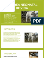 Diarrea Neonatal Bovina