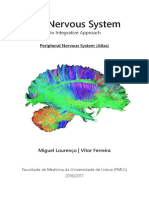 The Nervous System - Peripheral Atlas (UNLOCKED) (FML).pdf