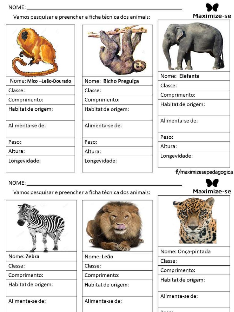 Animais - Ficha Técnica | PDF