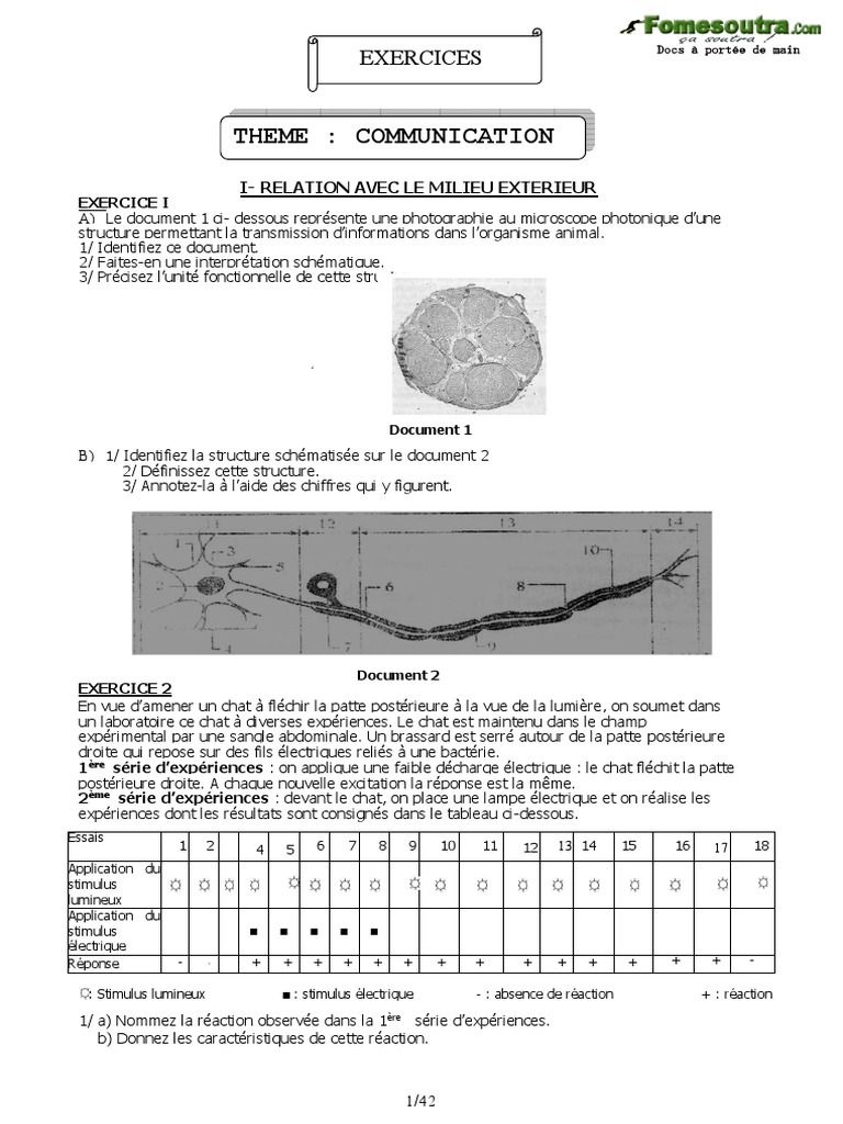 Que Représentent Les Courbes En Gris Sur Le Schéma Ci dessus Exercices Resolu SVT Theme Communication | PDF | Synapse | Muscle