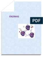 ENZIMAS .pdf