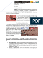 UNIDAD+DIDACTICA+CULTURA+FÍSICA+Y+DEPORTIV1velocidad.pdf
