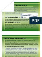 1 - Presentación Cloacales PDF