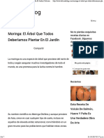 Moringa - El Árbol Que Todos Deberíamos Plantar en El Jardín - Delicias Blog PDF