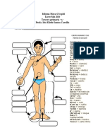 Partes del cuerpo en Q'eqchi