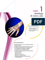 Morfologia de manos y pies.pdf