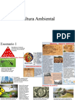 Cultura Ambiental-Infografia