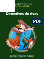 Detectives 